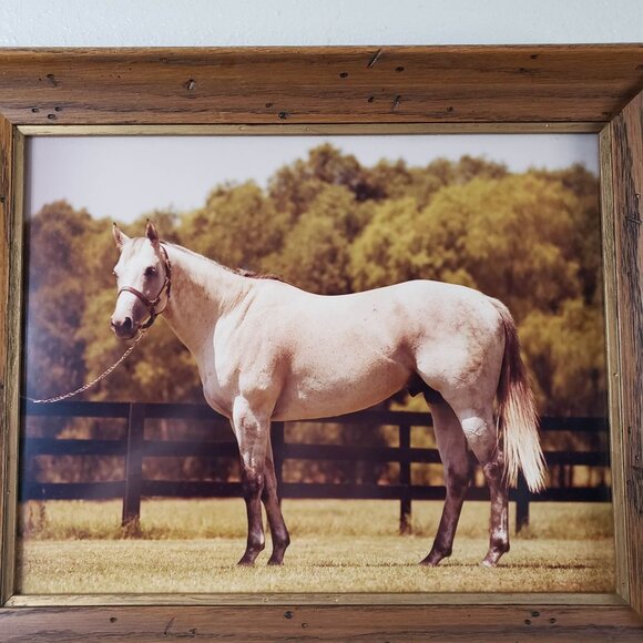 Vintage Thoroughbred Horse Grey Stallion Framed Picture Print - Picture 5 of 6